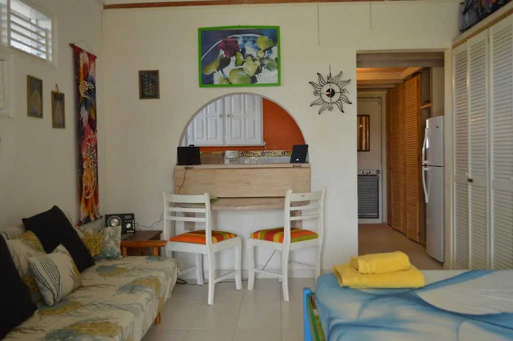 Green Garden Apartment Christ Church