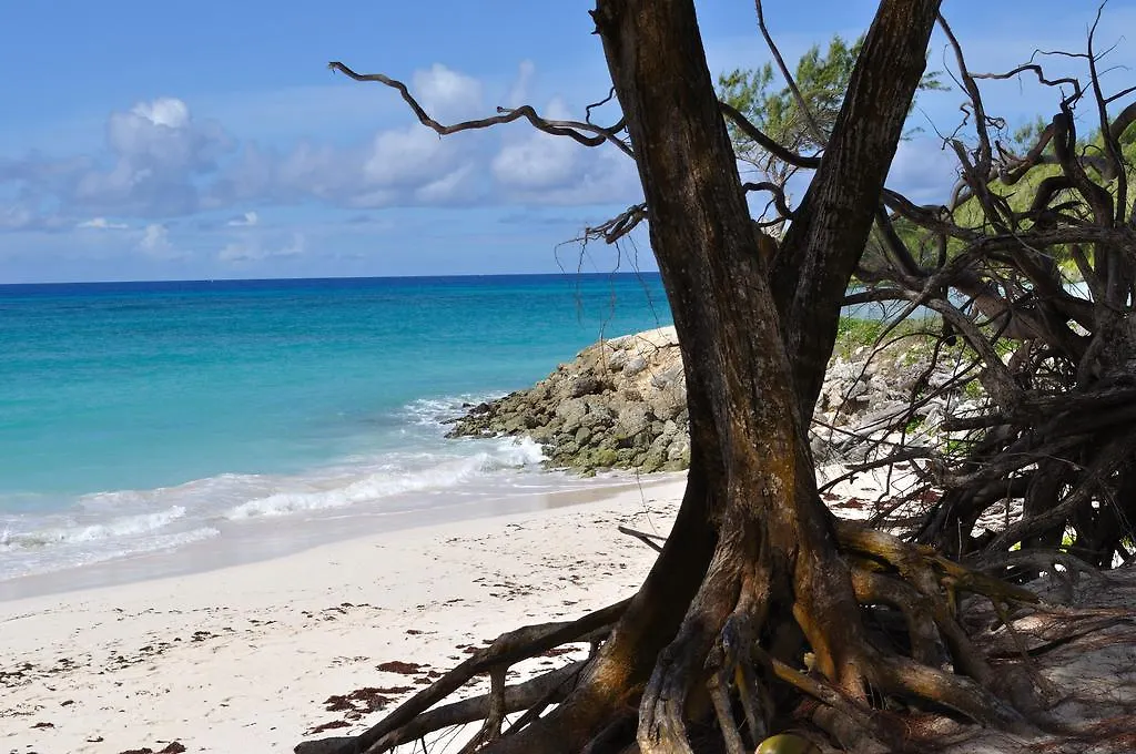 Green Garden Apartment Christ Church 0*,  Barbados